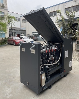良い価格 高性能のセリウムは小型Cogeneratorが単位システム16kw 20kvaを置いたマイクロ バイオガスCHPを承認した オンライン