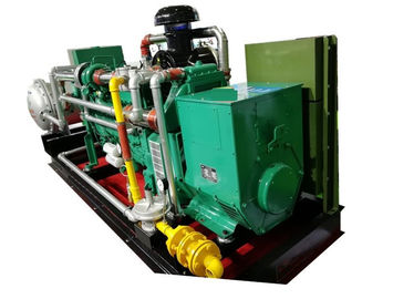 良い価格 300KVA 250KW 60HzのバイオガスCHPのリモート・モニタリングCHPの廃熱発電システム オンライン